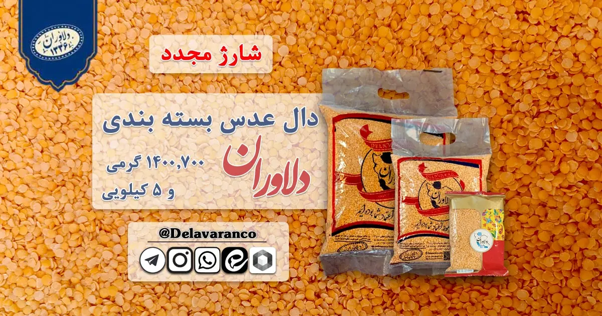 دال عدس بسته بندی ۱۴۰۰,۷۰۰ گرمی و ۵ کیلویی دلاوران