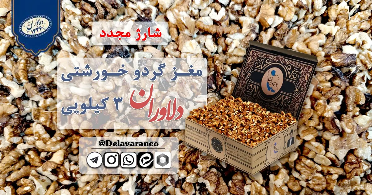 مغز گردو خورشتی ۳ کیلویی دلاوران