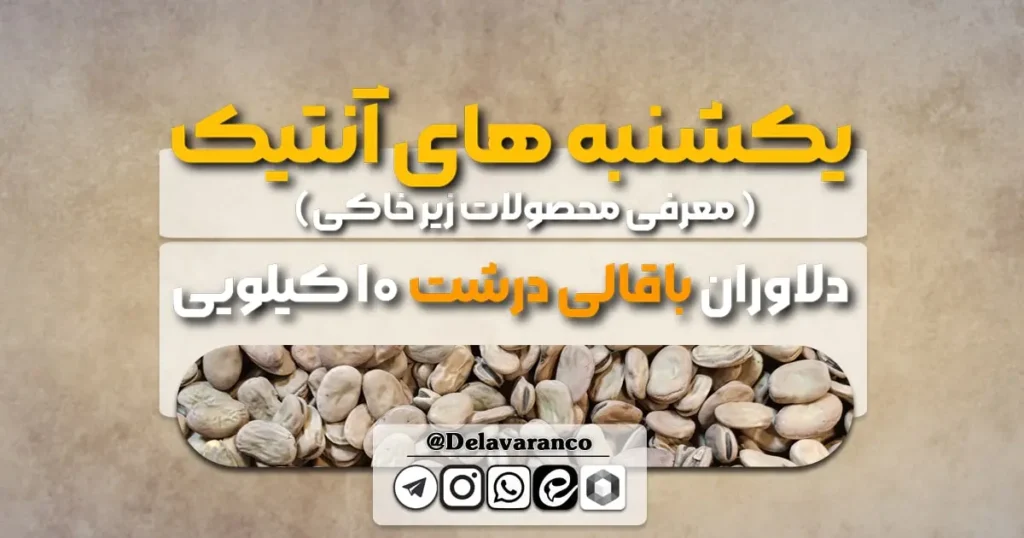 باقالی درشت ۱۰ کیلویی دلاوران-انتیک دلاوران- یکشنبه های انتیک-خشکبار دلاوران