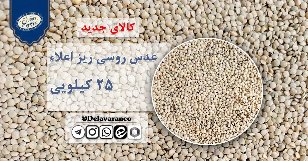 عدس روسی ریز اعلاء ۲۵ کیلویی-عدس روسی-حبوبات دلاوران-عدس ریز روسی