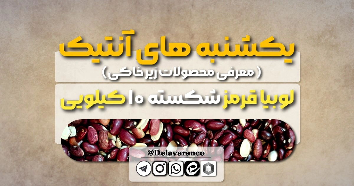 لوبیا قرمز شکسته ۱۰ کیلویی -حبوبات دلاوران-لوبیا قرنز-لوبیا قرمز شکسته