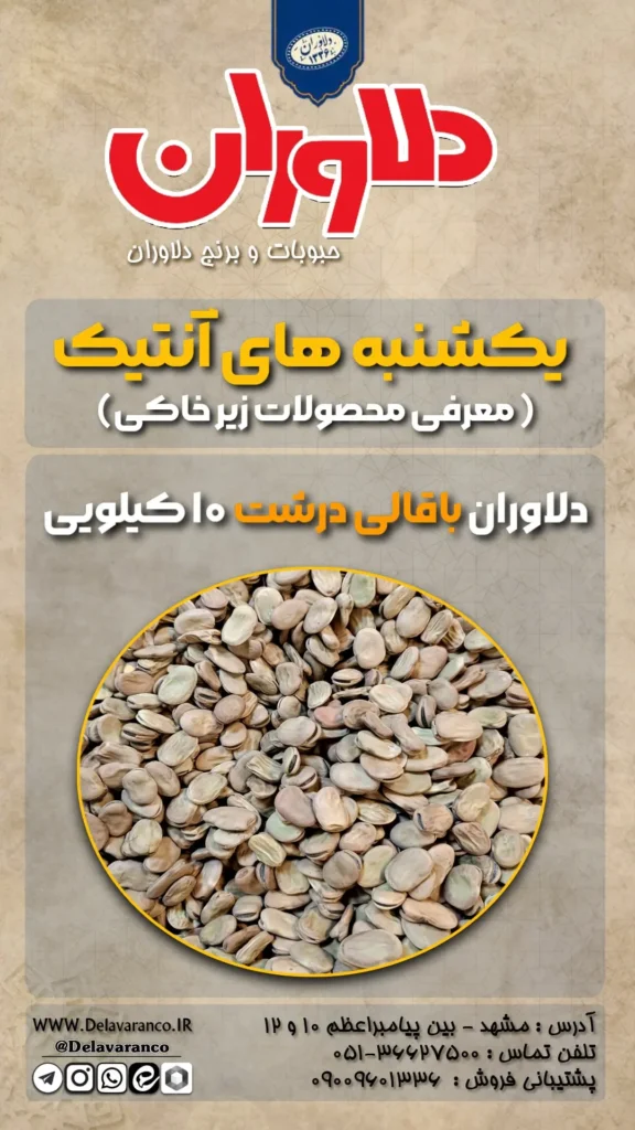 باقالی درشت ۱۰ کیلویی دلاوران-انتیک دلاوران- یکشنبه های انتیک-خشکبار دلاوران