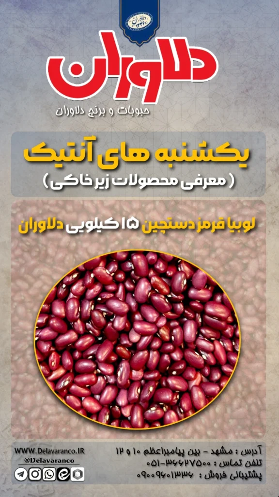 لوبیا قرمز دستچین ۱۵ کیلویی دلاوران-حبوبات دلاوران-لوبیا قرمز-لوبیا قرمز دستچین-
