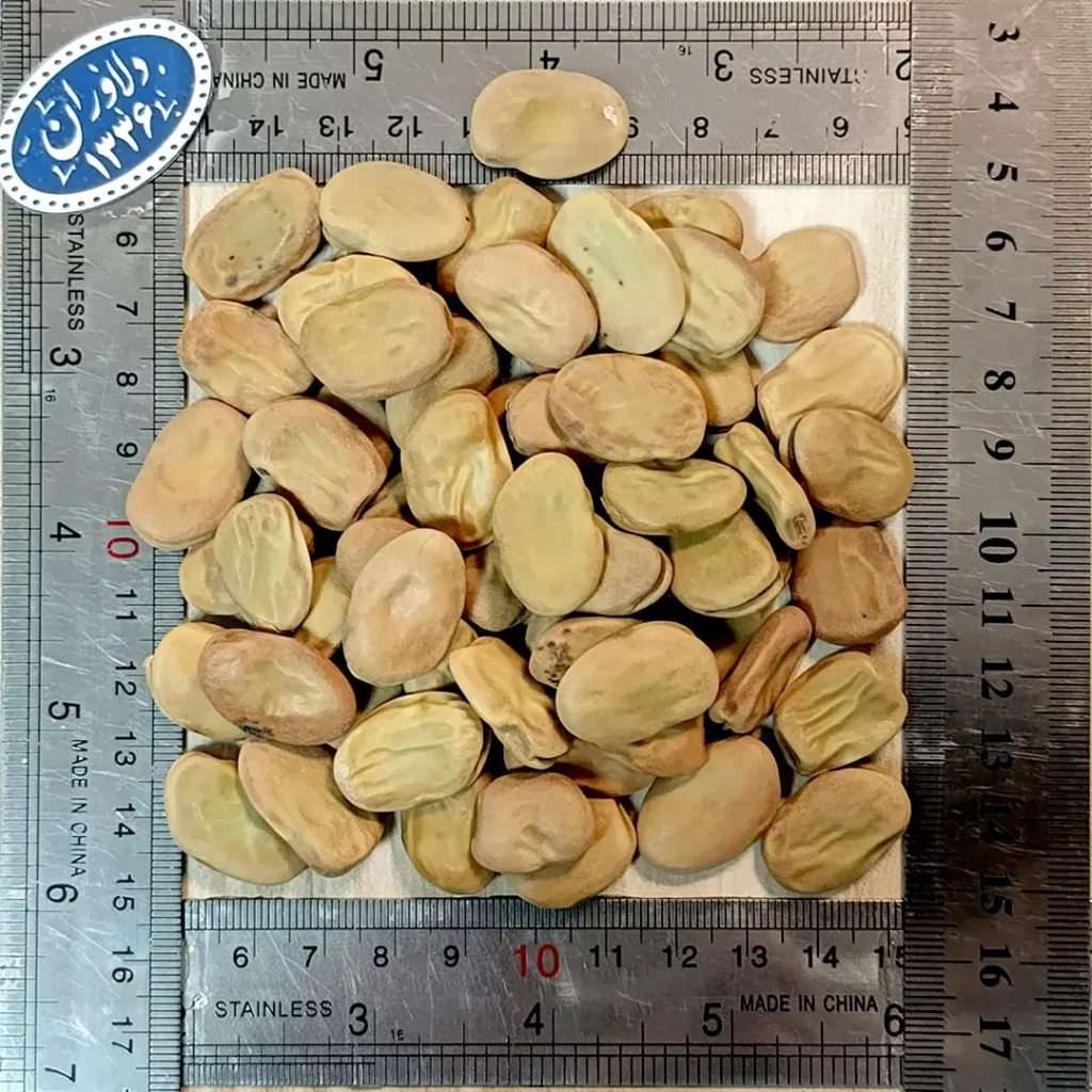 باقالی درشت ۱۰ کیلویی دلاوران-انتیک دلاوران- یکشنبه های انتیک-خشکبار دلاوران-نمونه دانه