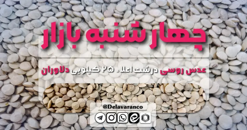 عدس روسی درشت اعلاء ۲۵ کیلویی دلاوران-حبوبات دلاوران-عدس درشت-عدس روسی-چهارشنبه بازار