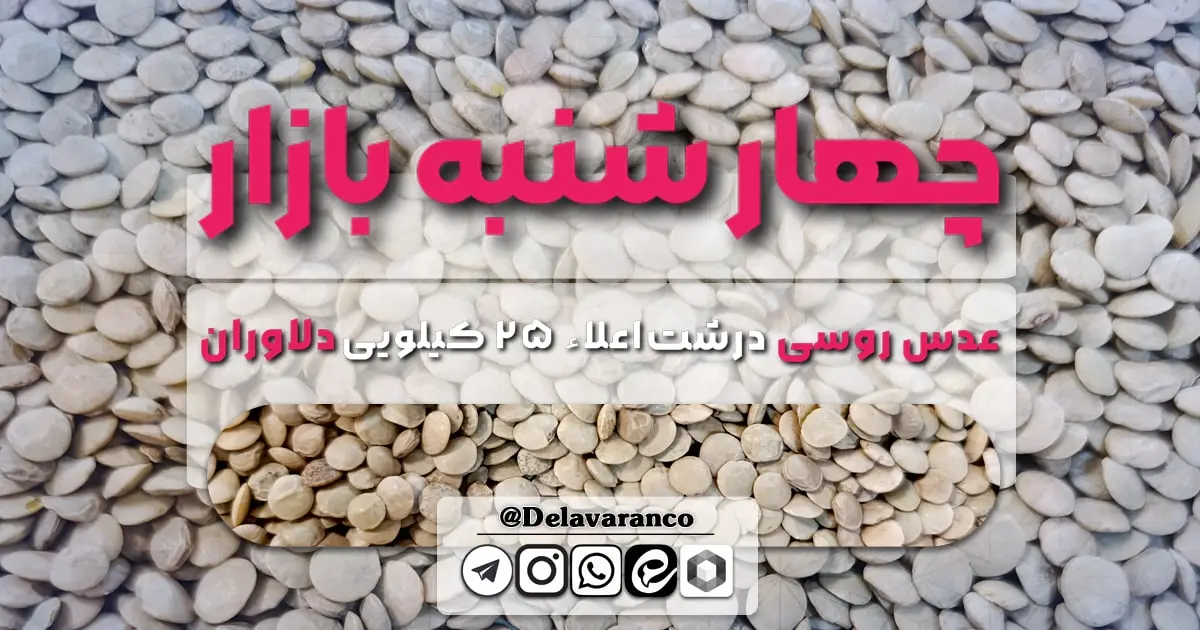 عدس روسی درشت اعلاء ۲۵ کیلویی دلاوران-حبوبات دلاوران-عدس درشت-عدس روسی-چهارشنبه بازار
