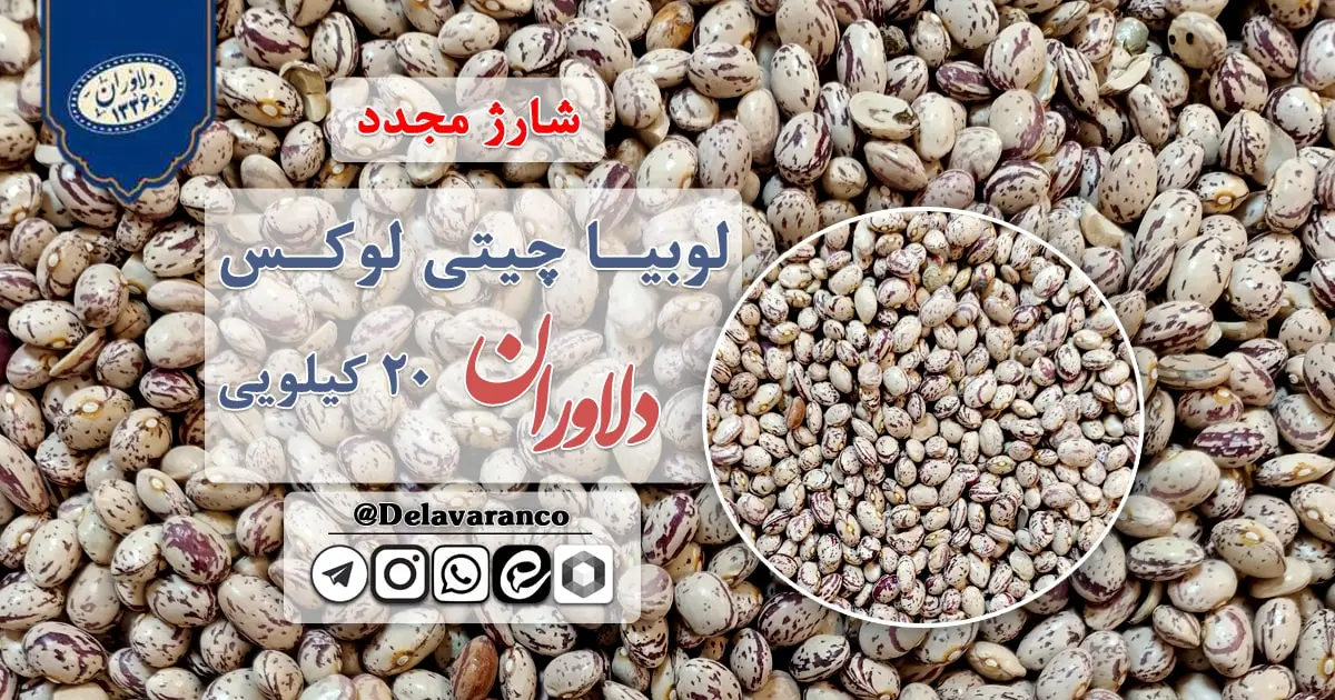 چیتی لوکس لوبیا چستس حبوبات دلاوران