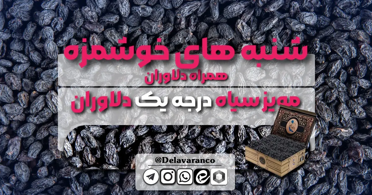 مویز سیاه درجه یک دلاوران -شنبه های خوشمزه-خشکبار دلاوران