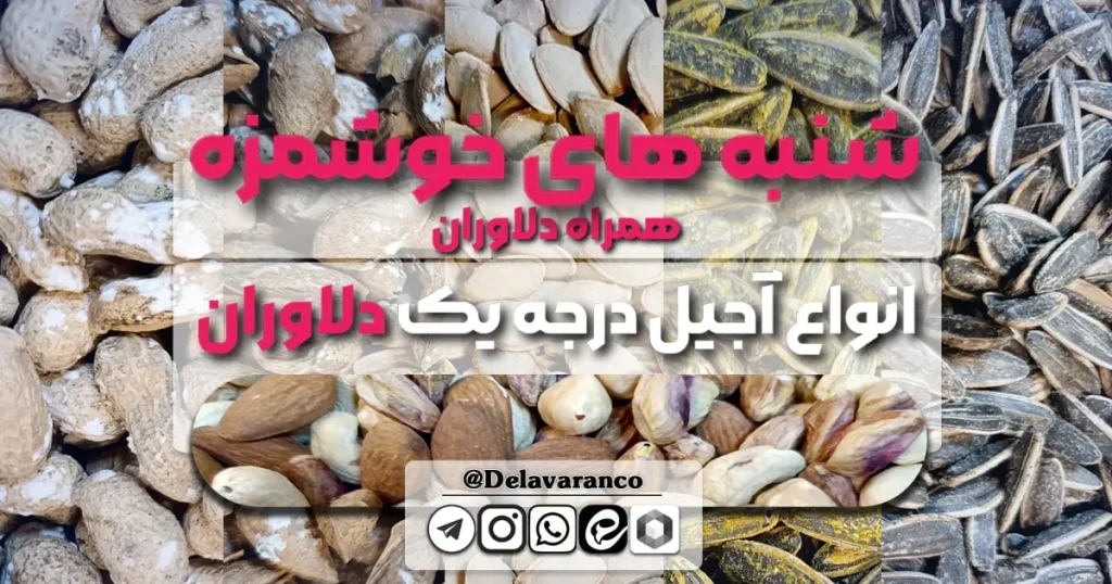 آجیل های درجه یک دلاوران-خشکبار دلاوران-شنبه های خوشمزه-