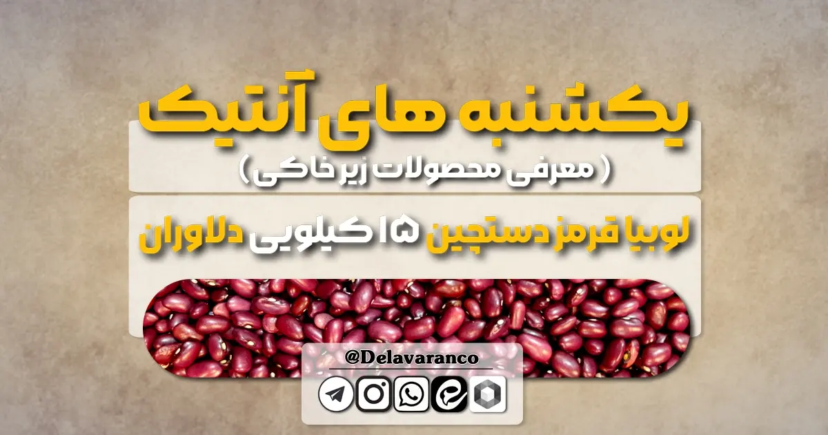 لوبیا قرمز دستچین ۱۵ کیلویی دلاوران-حبوبات دلاوران-لوبیا قرمز-لوبیا قرمز دستچین-